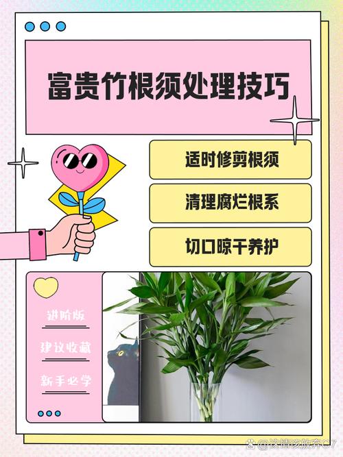 富贵竹怎么修剪（富贵竹怎么修剪造型）-第2张图片-花花知道网