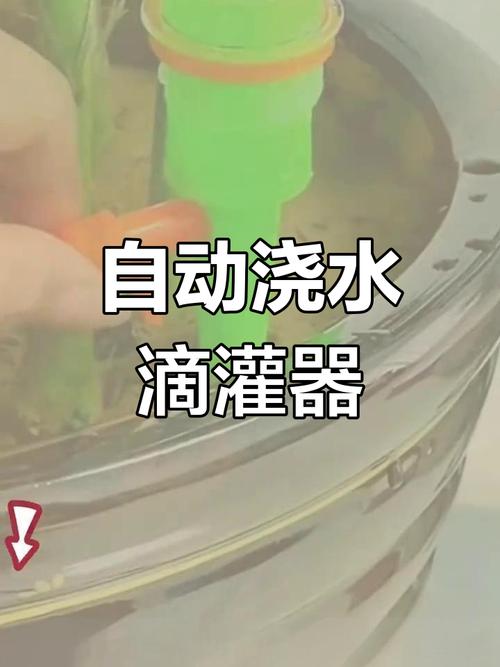 喝完的“矿泉水瓶”别扔（喝完的矿泉水瓶能干嘛）-第1张图片-花花知道网