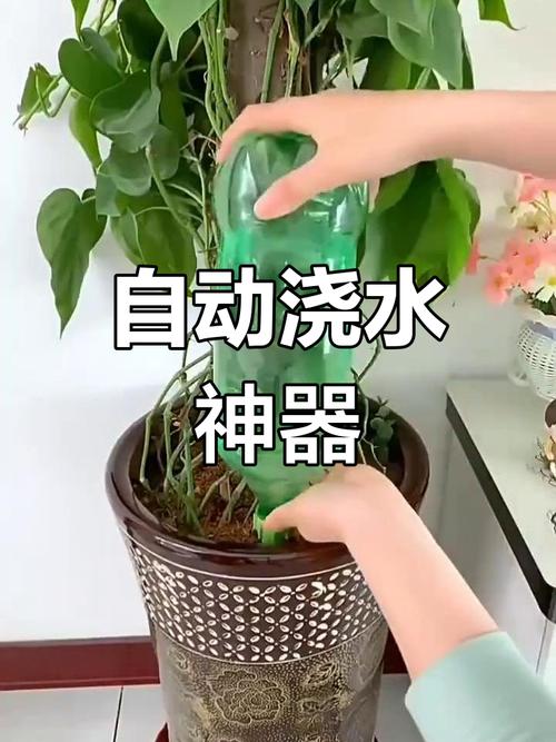 喝完的“矿泉水瓶”别扔（喝完的矿泉水瓶能干嘛）-第3张图片-花花知道网