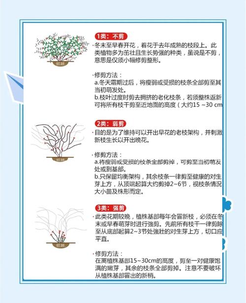 铁线莲的种植方法(铁线莲的种植方法和注意事项)-第2张图片-花花知道网 铁线莲的种植方法(铁线莲的种植方法和注意事项)-第2张图片-花花知道网