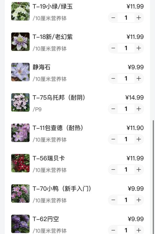 铁线莲的种植方法(铁线莲的种植方法和注意事项)-第4张图片-花花知道网 铁线莲的种植方法(铁线莲的种植方法和注意事项)-第4张图片-花花知道网