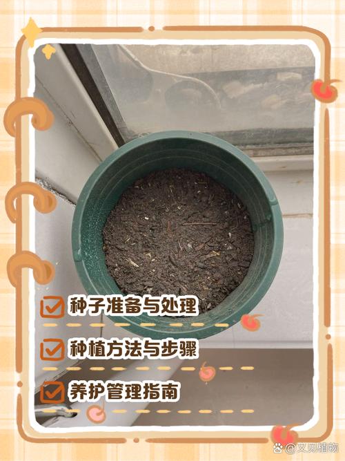 栀子花种子怎么种（栀子花种子怎么种容易发芽）-第4张图片-花花知道网