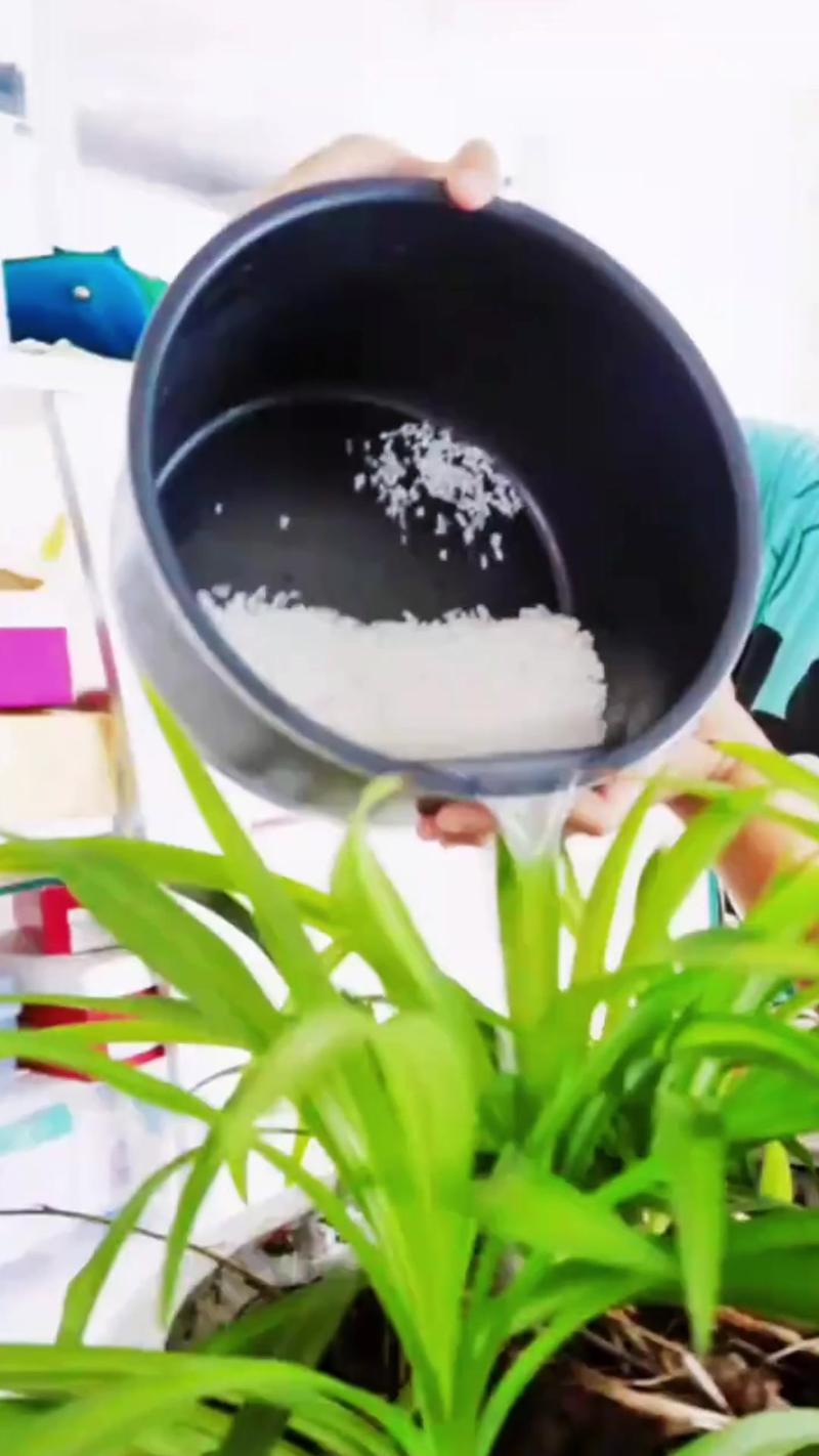 这种“水”在家就能做(怎样做徦水)-第3张图片-花花知道网 这种“水”在家就能做(怎样做徦水)-第3张图片-花花知道网