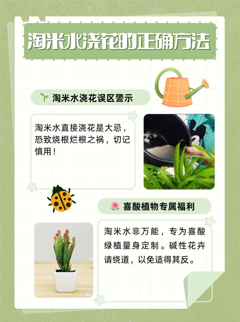 这种“水”在家就能做(怎样做徦水)-第4张图片-花花知道网 这种“水”在家就能做(怎样做徦水)-第4张图片-花花知道网