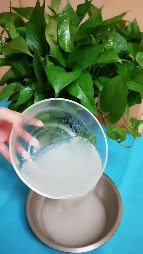 这种“水”在家就能做(怎样做徦水)-第5张图片-花花知道网 这种“水”在家就能做(怎样做徦水)-第5张图片-花花知道网