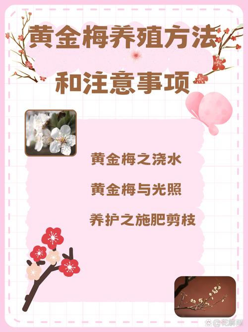 金丝梅如何进行分株繁殖(金丝梅怎么种)-第4张图片-花花知道网 金丝梅如何进行分株繁殖(金丝梅怎么种)-第4张图片-花花知道网