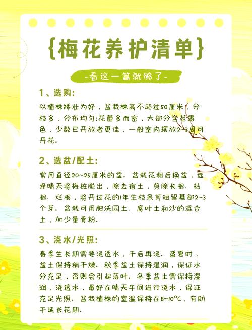 梅花的冬天养殖禁忌（梅花的冬季养殖方法）-第1张图片-花花知道网