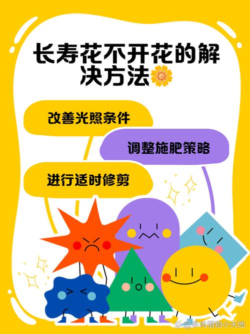 长寿花怎么不开花(长寿花怎么不开花是怎么回事)-第6张图片-花花知道网 长寿花怎么不开花(长寿花怎么不开花是怎么回事)-第6张图片-花花知道网
