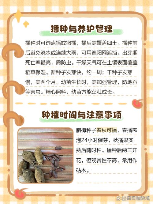 腊梅种子种植方法(腊梅种子种植方法和注意事项)-第3张图片-花花知道网 腊梅种子种植方法(腊梅种子种植方法和注意事项)-第3张图片-花花知道网