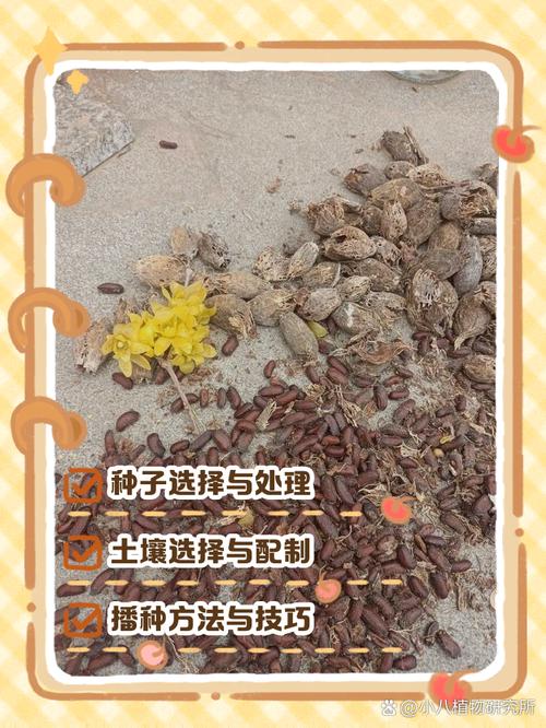 腊梅种子种植方法(腊梅种子种植方法和注意事项)-第7张图片-花花知道网 腊梅种子种植方法(腊梅种子种植方法和注意事项)-第7张图片-花花知道网