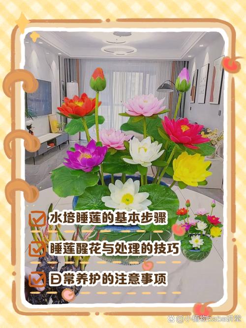 美丽莲冬天怎么养(美丽莲多肉图片大全)-第1张图片-花花知道网 美丽莲冬天怎么养(美丽莲多肉图片大全)-第1张图片-花花知道网