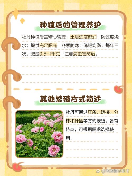 牡丹种子什么时候种(芍药种子几月播种)-第1张图片-花花知道网 牡丹种子什么时候种(芍药种子几月播种)-第1张图片-花花知道网