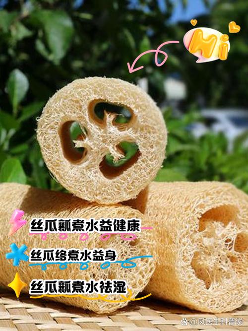 挖出来的“丝瓜瓤”还能养花(丝瓜瓤子可以吃吗)-第1张图片-花花知道网 挖出来的“丝瓜瓤”还能养花(丝瓜瓤子可以吃吗)-第1张图片-花花知道网