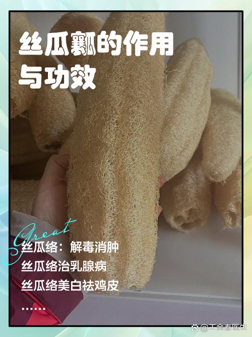 挖出来的“丝瓜瓤”还能养花(丝瓜瓤子可以吃吗)-第4张图片-花花知道网 挖出来的“丝瓜瓤”还能养花(丝瓜瓤子可以吃吗)-第4张图片-花花知道网