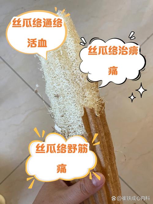 挖出来的“丝瓜瓤”还能养花(丝瓜瓤子可以吃吗)-第6张图片-花花知道网 挖出来的“丝瓜瓤”还能养花(丝瓜瓤子可以吃吗)-第6张图片-花花知道网