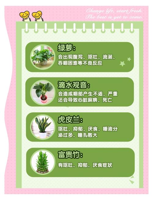 怎么辨别番茉莉(番茉莉和茉莉的区别)-第2张图片-花花知道网 怎么辨别番茉莉(番茉莉和茉莉的区别)-第2张图片-花花知道网