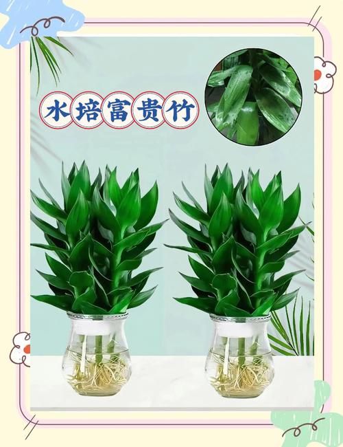 这“3种”水（这3种水果降血糖最快!尤其是第一种）-第3张图片-花花知道网