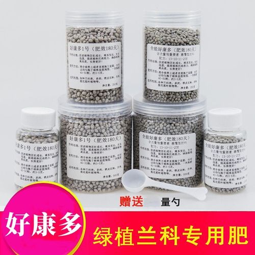 兰花用什么肥料比较好（君子兰花用什么肥料比较好）-第2张图片-花花知道网