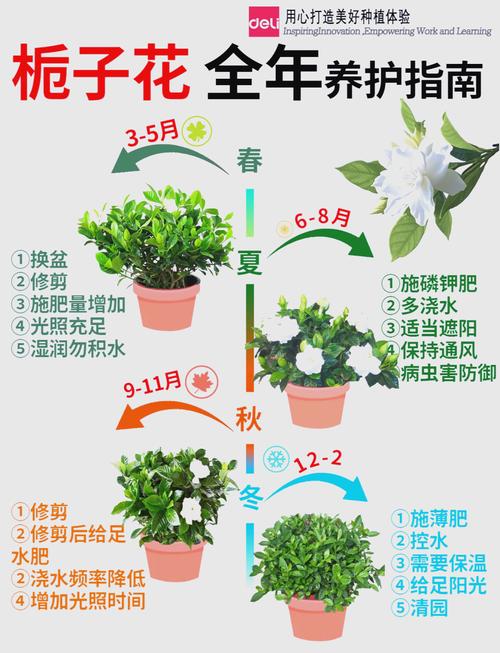 栀子花几天浇一次水（栀子花几天浇一次水比较好）-第4张图片-花花知道网