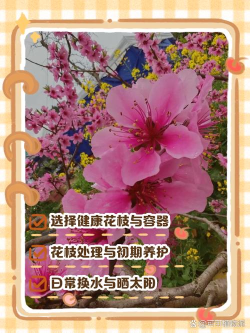 想要植株开花（想要开花的种子）-第1张图片-花花知道网