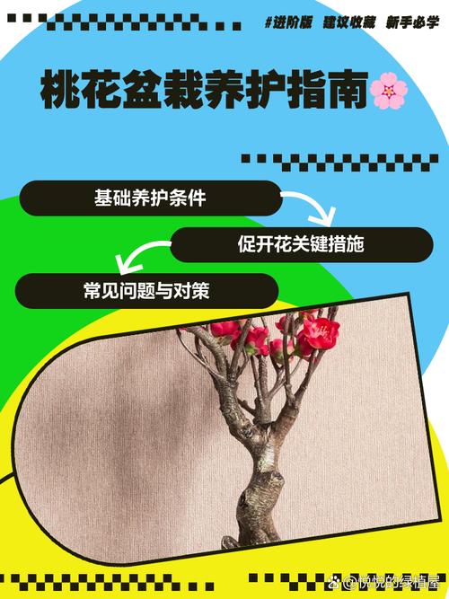 想要植株开花（想要开花的种子）-第2张图片-花花知道网