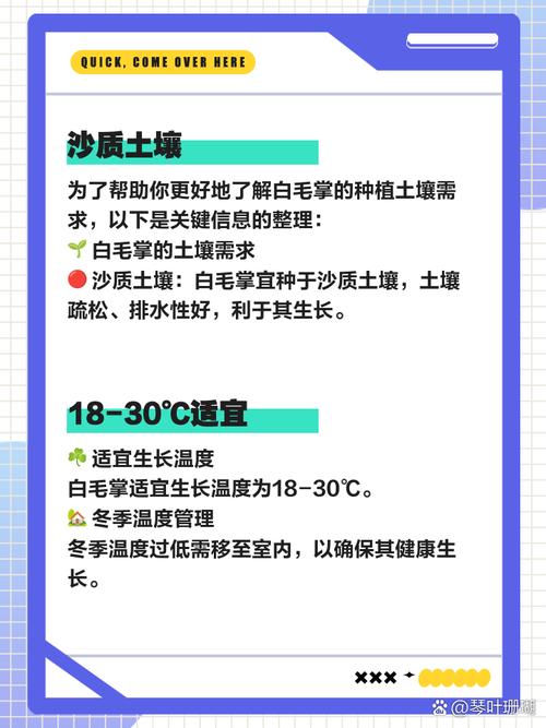 白毛掌怎么养（白毛掌怎么养才能开花更旺盛呢）-第4张图片-花花知道网