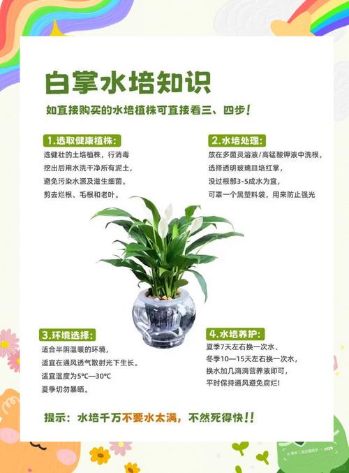 白毛掌怎么养（白毛掌怎么养才能开花更旺盛呢）-第5张图片-花花知道网