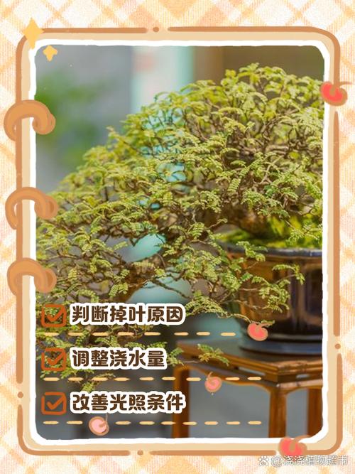 清香木叶子下垂怎么办（清香木叶子下垂怎么办呢）-第1张图片-花花知道网