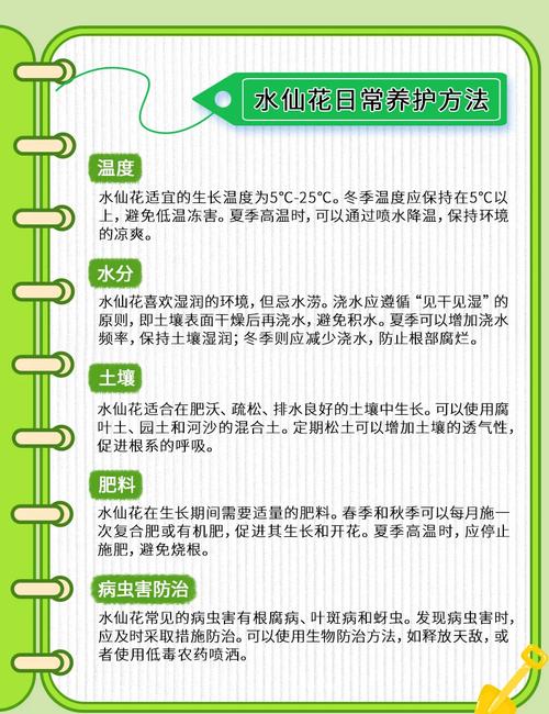 水仙花怎么会养好（水仙花怎么才能养好）-第1张图片-花花知道网