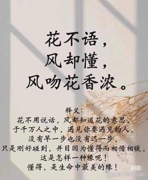 包含你家的花丑成“梅超风”的词条-第1张图片-花花知道网
