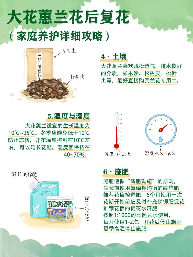 刚买回家的花应该怎么养（刚买来的花怎么处理）-第5张图片-花花知道网