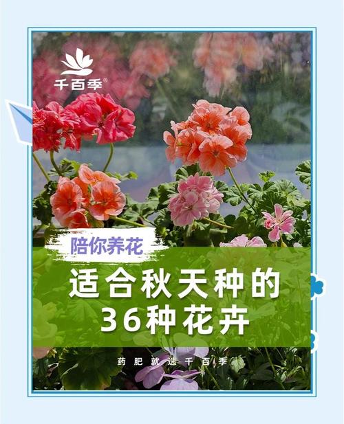 这3种花太贵（什么花比较昂贵）-第6张图片-花花知道网