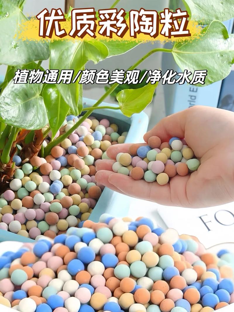 养花就选这6种颗粒(种花的颗粒)-第3张图片-花花知道网 养花就选这6种颗粒(种花的颗粒)-第3张图片-花花知道网